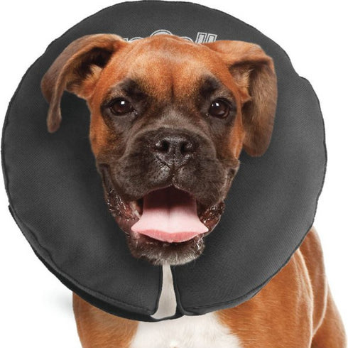 ZenPet ZenCollar Inflatable Recovery Dog & Cat Collar Large 13-18"